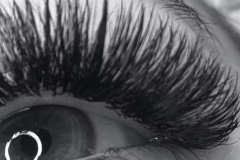 c3d130_0b04ed512b7e442b971c14878757d5c3mv2-copy