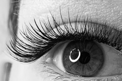 c3d130_5e1d84ab6e27429d80f143b4c7339fc2mv2-copy