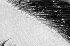 c3d130_8c8d471971a9449f8a168e293e50341fmv2-copy