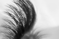 c3d130_935a3b2bab094623ab8446513e09e30bmv2-copy