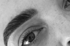 c3d130_ddf40486c7b342888eed891f6b19abdamv2-copy